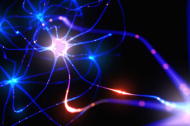 Neurons Electrical Pulses 3D illustration of Interconnected neurons with electrical pulses. neurotransmitter stock pictures, royalty-free photos & images