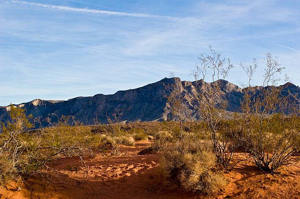 Nevada Desert stock photo