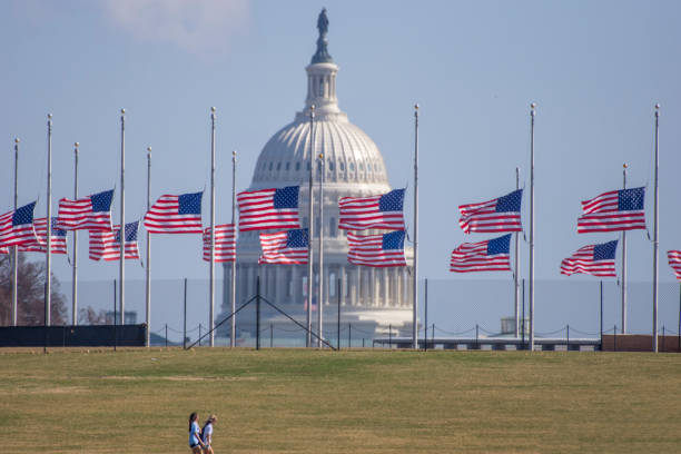 Never again! At the Washington Monument flags fly at half staff in mourning for the victims of the mass shootings at Marjory Stoneman Douglas High School in Parkland, Florida. Dome of the U.S. Capitol is in background. flag at half staff stock pictures, royalty-free photos & images