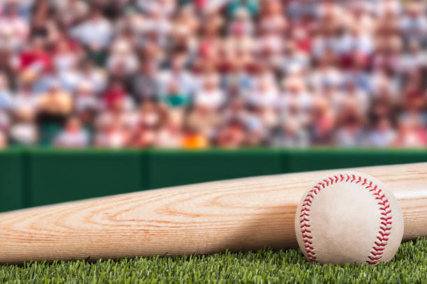 A new baseball and bat with stadium and crowd background A low angle view of a new baseball and a new wooden bat with a green padded wall and a crowd in the background for a daytime game. sports bat stock pictures, royalty-free photos & images