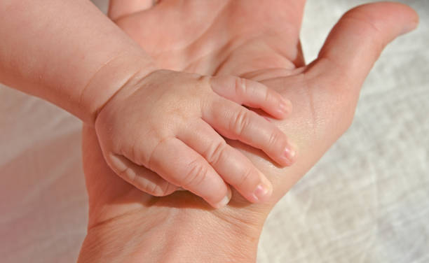 New born caucasian baby girl opened hand in mother's hand stock photo