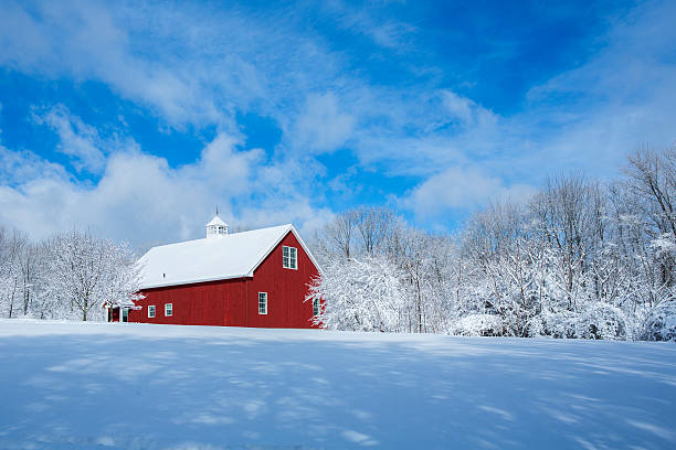 New England Barn in the Snow A red barn after a snow storm new england states stock pictures, royalty-free photos & images