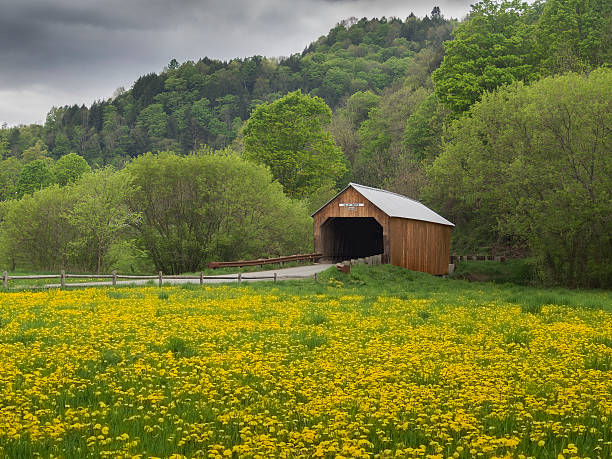 New England covered bridge Covered bridge surrounded by yellow dandelions in the state of Vermont, USA covered bridge stock pictures, royalty-free photos & images
