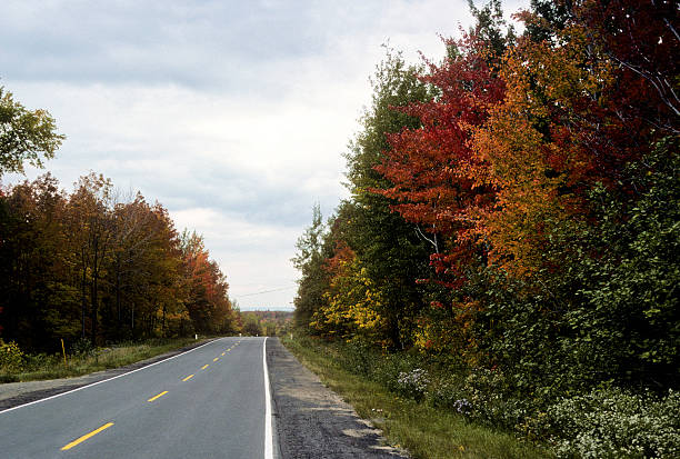 New England fall foliage on a long lonely road Fall foliage somewhere in New England flanks a lonely road under cloudy skies hearkencreative stock pictures, royalty-free photos & images