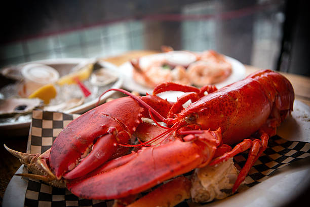 New England seafood stock photo