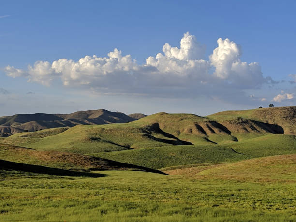 New green grass on hills of California and clouds near Atascadero California stock photo