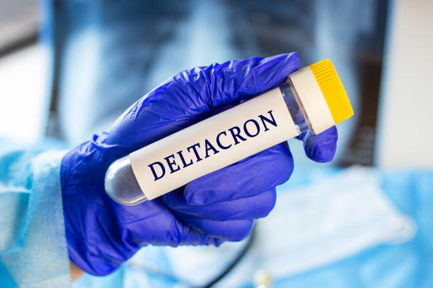 New infectious Deltacron variant of coronavirus desease (Delta and Omicron) sample in lab tube in the scientist hand in blue medical glove on light background stock photo