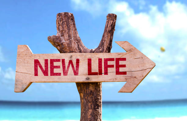 New Life wooden sign New Life wooden sign with a beach on background divorce beach stock pictures, royalty-free photos & images