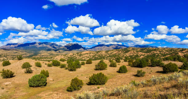 New Mexico Beautiful New Mexico desert landscape. new mexico stock pictures, royalty-free photos & images