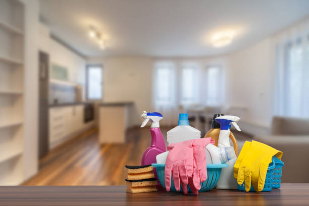 Key Qualities to Look for in House Cleaning Services – 2 Green Chicks