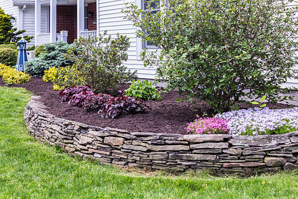 New Mulch Behind Landscaped Garden Terrace Wall This garden terrace behind a slate rock wall has just been completely weeded and cleaned up with fresh mulch spread evenly on the ground surrounding ornamental bushes and flowers. See first related photo below for the comparison "BEFORE" this garden was restored to a properly presentable appearance. :) flowerbed stock pictures, royalty-free photos & images