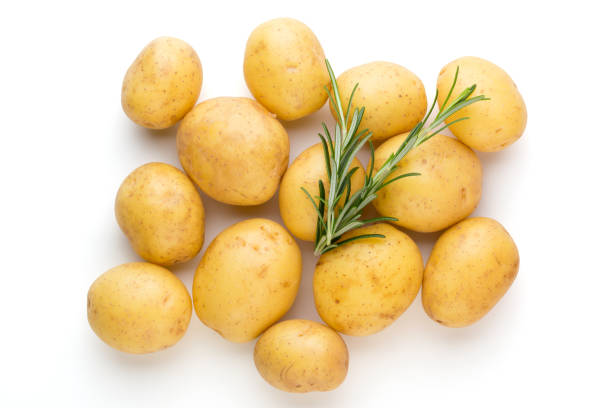 New potato and rosemarin isolated on white background close up. stock photo