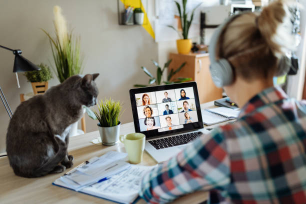 New reality - working from home with pets and kids Portrait of modern woman at home teleconferencing with colleagues while cuddling her cat hot desking stock pictures, royalty-free photos & images