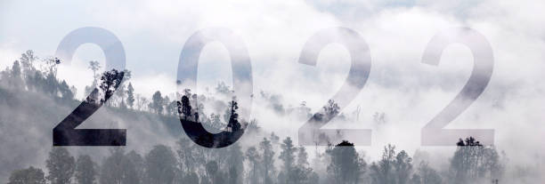 new year 2022 word on landscape natural scene of pine tree forests in the morning with fog and misty on the pine tree at cemoro lawang of bromo mountain , indonesia - 2022 concept abstract background - semeru stok fotoğraflar ve resimler