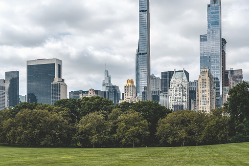 New York skyscrapers, green lawn at central park with trees. Lifestyle in megapolis and financial trade center. Concept of business
