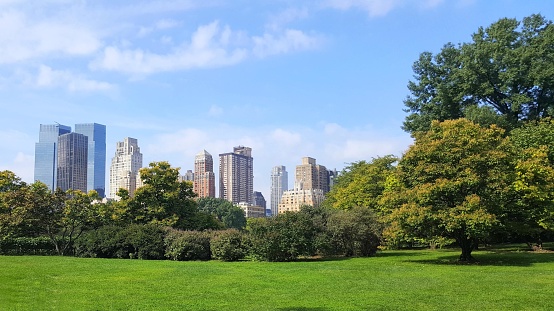 View of New York and its buildings from a very green Central Park, nature and urban landscape in USA