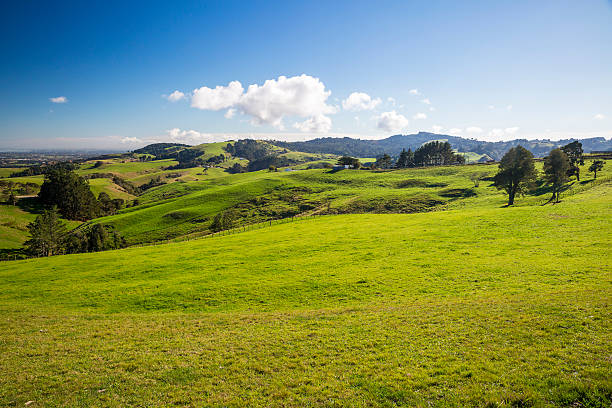 New Zealand countryside stock photo