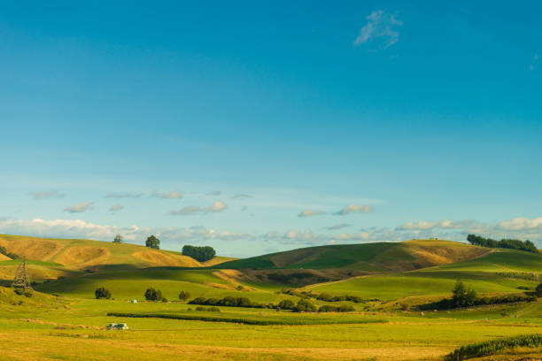 New Zealand Landscape Highway stock photo