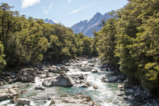New Zealand: Tutoko River stock photo