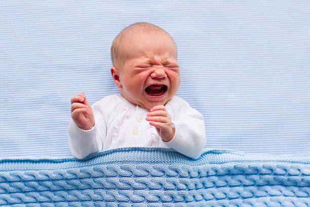 Newborn baby boy on a blue blanket Newborn crying baby boy. New born child tired and hungry in bed under blue knitted blanket. Children cry. Bedding for kids. Infant screaming. Healthy little kid shortly after birth. Cable knit textile crying baby stock pictures, royalty-free photos & images