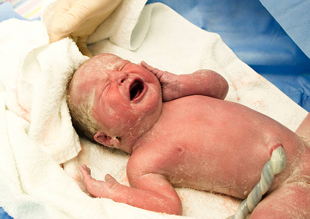 Newborn baby boy stock photo