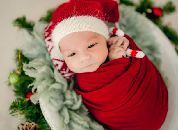 Newborn baby boy studio portrait stock photo