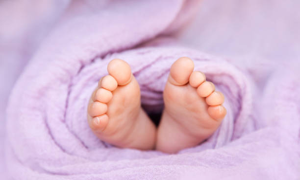 Newborn baby feet wrapped on soft lilac background, closeup of infant barefeet in a selective focus stock photo