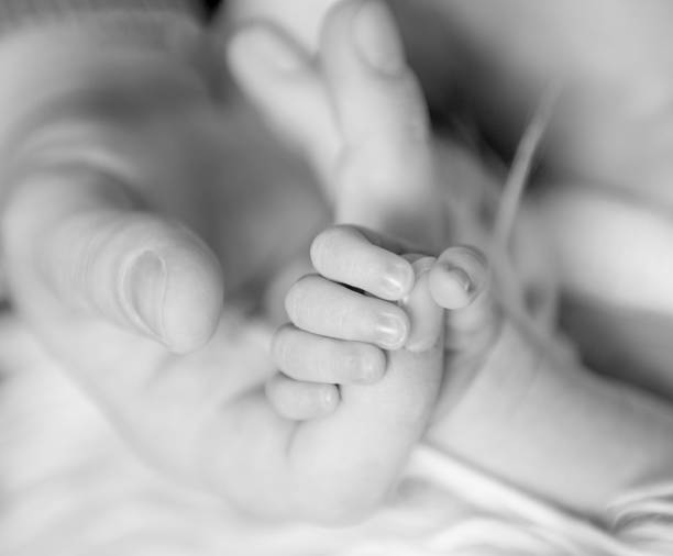 Newborn baby gently holding parent's finger, black and white stock photo