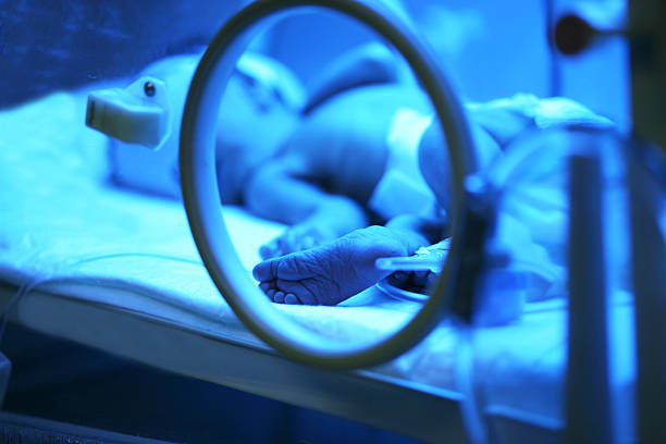 Newborn baby in incubator stock photo
