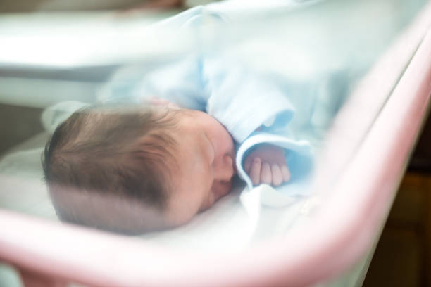 병원 요람에서 자고있는 신생아 - 새생명 뉴스 사진 이미지