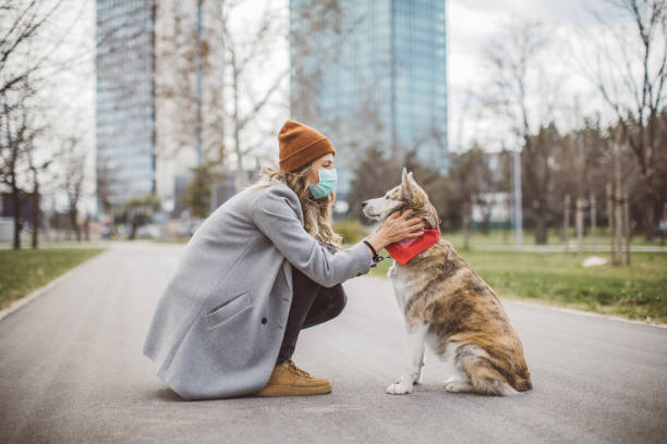 Newer alone when you have dog Woman during pandemic isolation walking with her dog in park domestic animals stock pictures, royalty-free photos & images