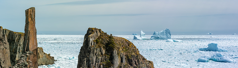 Multiple icebergs southeast of Bonavista, Newfoundland, Canada near Spillars Cove in spring