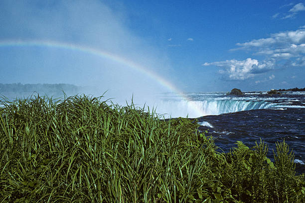 Rainbow Over Niagara Falls Niagara Falls is a great place to view and photograph rainbows. On any sunny day, rainbows are seen in the mist created by the falling water. The sun shines through the water droplets, reflecting light into the colors of the spectrum. Because the sun rises in the east, rainbows are seen in the morning from the United States side. Later in the day, as the sun gets higher, rainbows are seen on the Canadian side. This rainbow was photographed from the Canadian side at Niagara Falls, Ontario, Canada. jeff goulden waterfall stock pictures, royalty-free photos & images