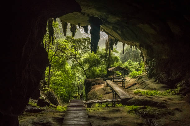 Niah National Park, Niah Cave in Sarawak Malaysia One of the cave entrances in the big cave in Niah National Park, Sarawak, Borneo, Malaysia niah national park stock pictures, royalty-free photos & images