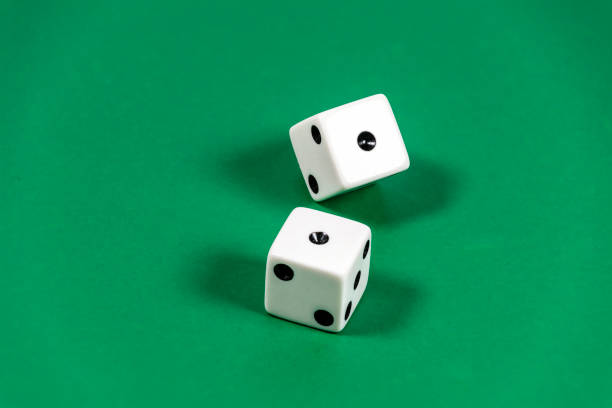 Royalty Free Snake Eyes Pictures Images and Stock Photos Royalty Free Snake Eyes Pictures Images and Stock Photos