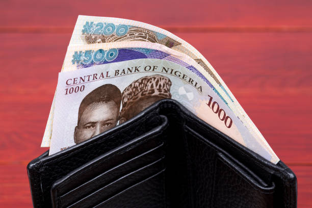 Nigerian money in the black wallet stock photo