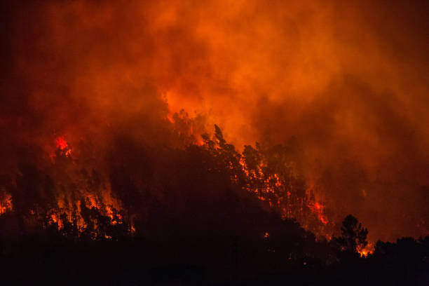 night fire - fire portugal imagens e fotografias de stock