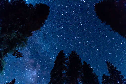 Night Sky in Yosemite Valley
