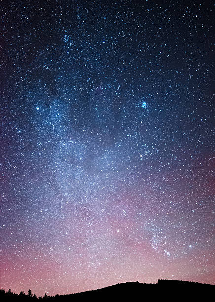 Night sky over the forest Long exposure star field stock pictures, royalty-free photos & images