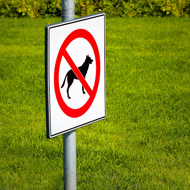 No Dog "No dogs sign, on the green area..." lepro stock pictures, royalty-free photos & images