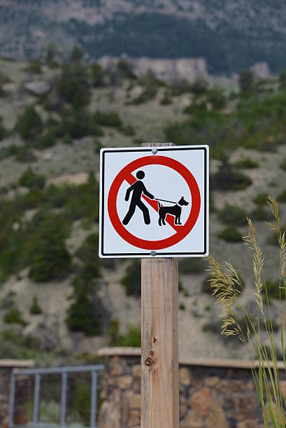 No Dog Walking Sign stock photo
