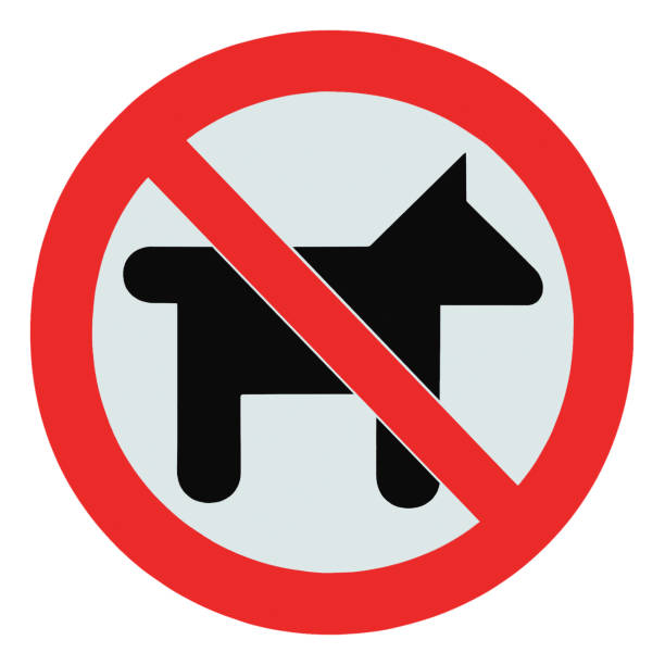 No dogs, pets allowed, warning sign, isolated round signage macro closeup stock photo