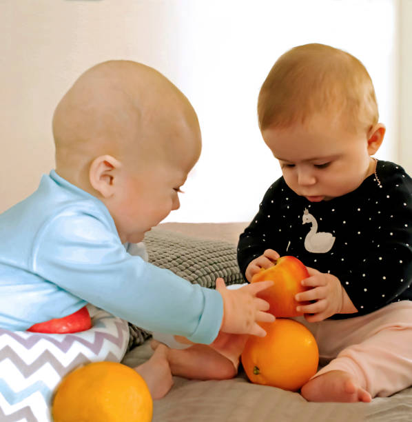 Non Identical Baby Twins Playing with Apples and Oranges stock photo