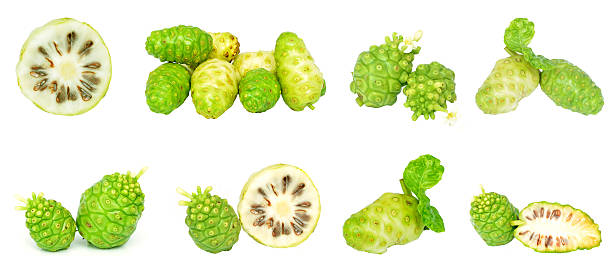 Noni fruits on white isolated background stock photo