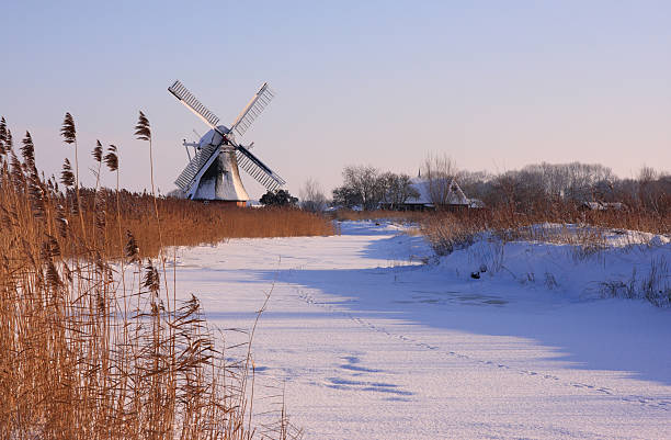 Noordermolen Traditional dutch windmill and reeds on a cold winterday in Groningen. groningen city stock pictures, royalty-free photos & images