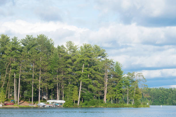 North American lake lined with trees during summer stock photo