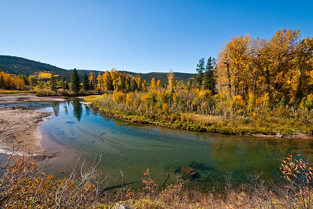 North Fork Blackfoot River in the Fall The Blackfoot River is a snow-fed and spring-fed river that begins in Lewis and Clark County on the western side of the Continental Divide. The headwaters are between Rogers Pass to the north and Stemple Pass to the south. The river flows westward and enters the Clark Fork River 5 miles east of Missoula. This view of the Blackfoot River was photographed in the fall at the Scotty Brown Bridge near Ovando, Montana, USA. jeff goulden montana stock pictures, royalty-free photos & images