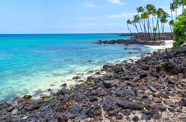 North Kona coast Coconut palms, white sand and lava rock at Pu’u ali’i Bay. Big Island, Hawaii. big island hawaii islands stock pictures, royalty-free photos & images