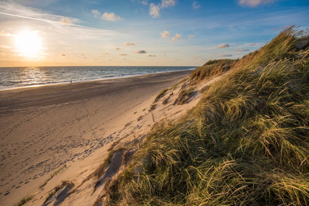 North sea beach, Jutland coast in Denmark North sea beach, Jutland coast in Denmark jutland stock pictures, royalty-free photos & images