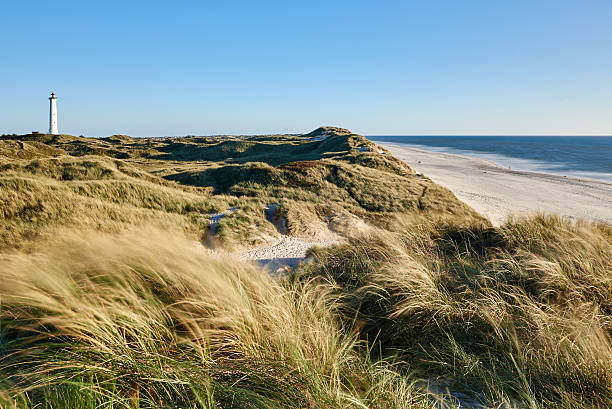 North sea coast North sea coast with dune and a lighthouse in the background denmark stock pictures, royalty-free photos & images